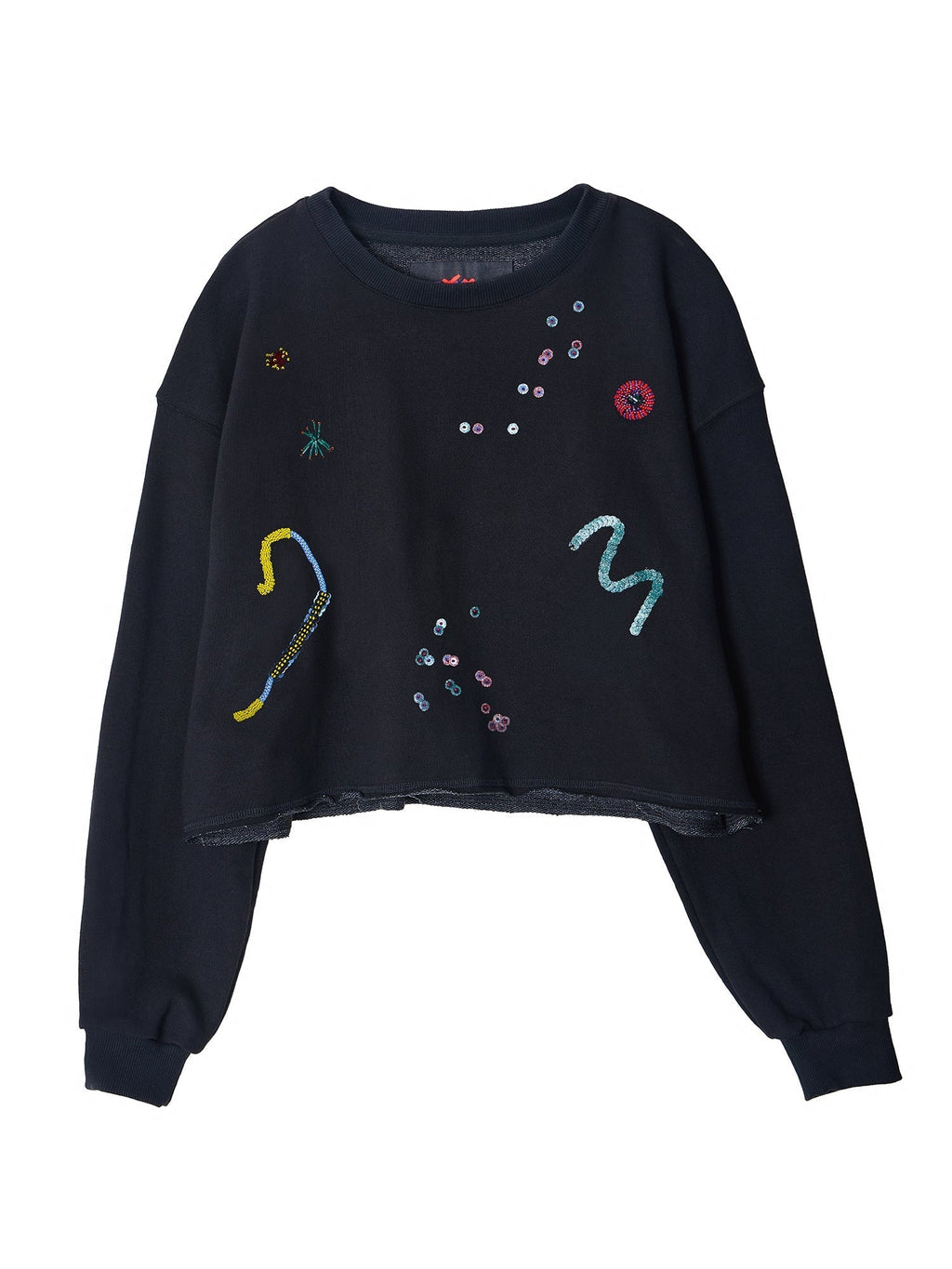Embroidered Cropped Sweatshirt
