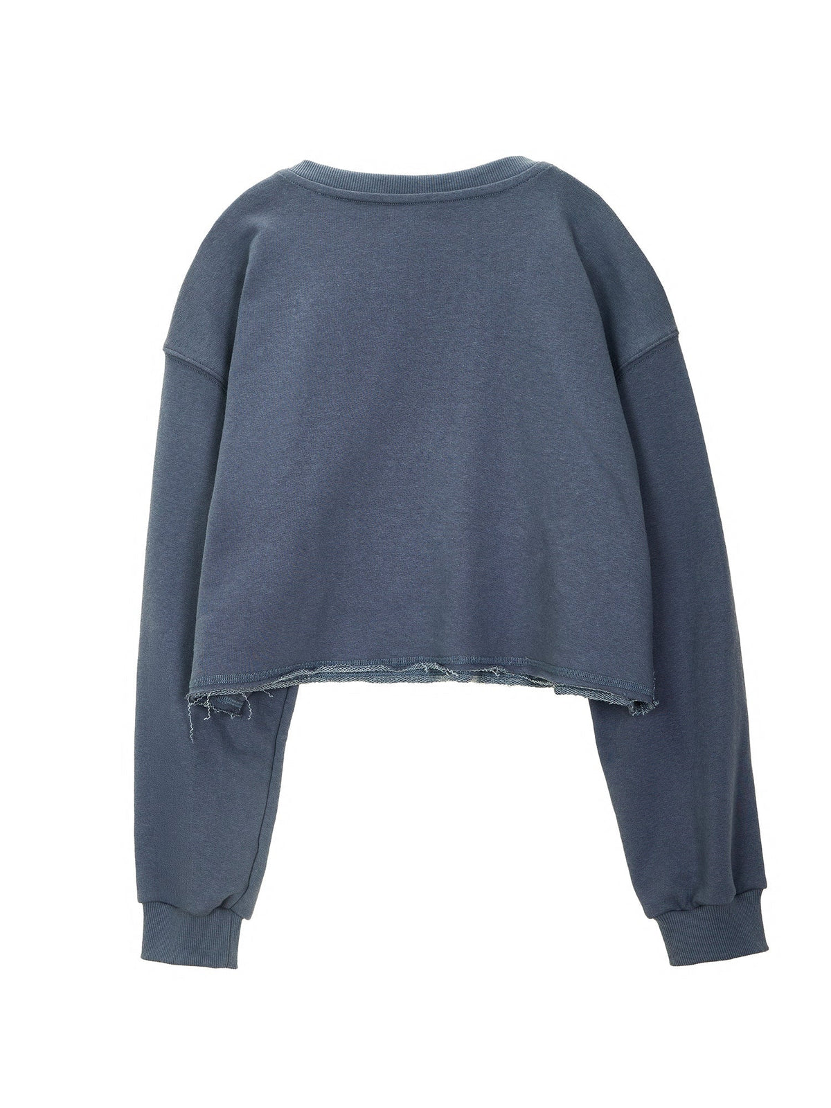 Embroidered Cropped Sweatshirt