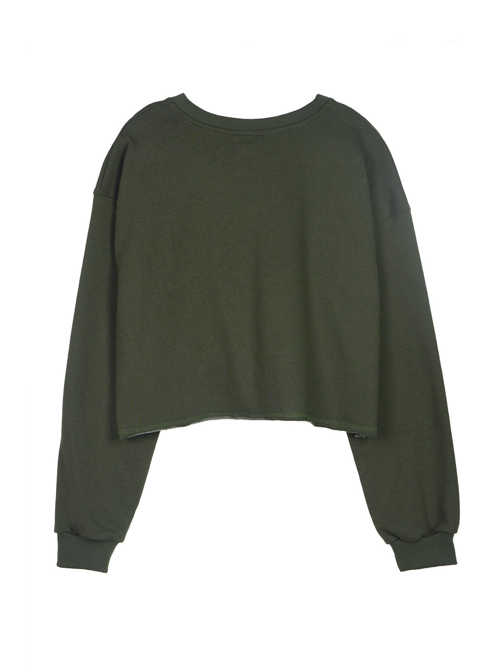 Embroidered Cropped Sweatshirt