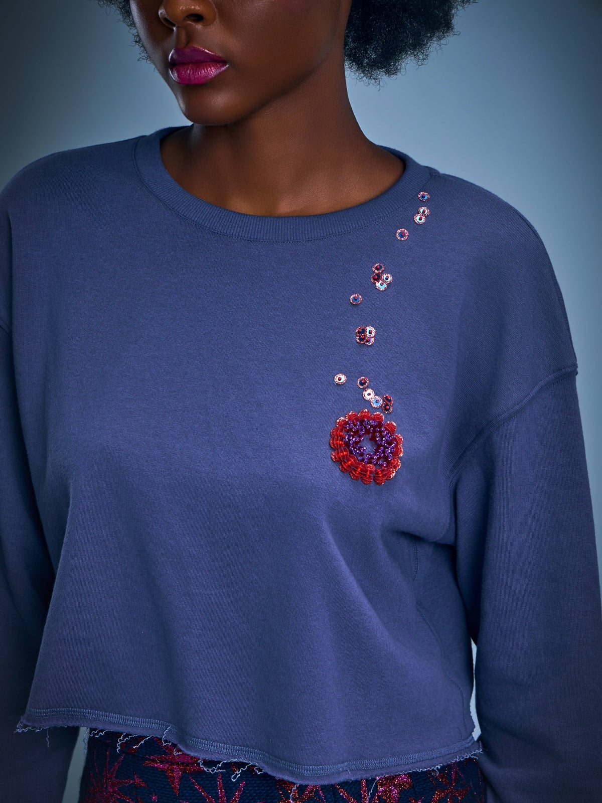 Embroidered Cropped Sweatshirt